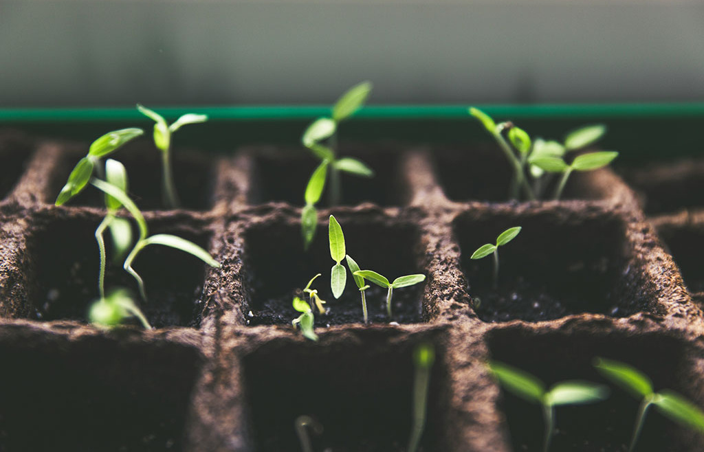 Environnement et Développement Durable